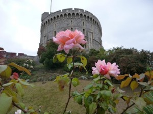 Windsor Castle